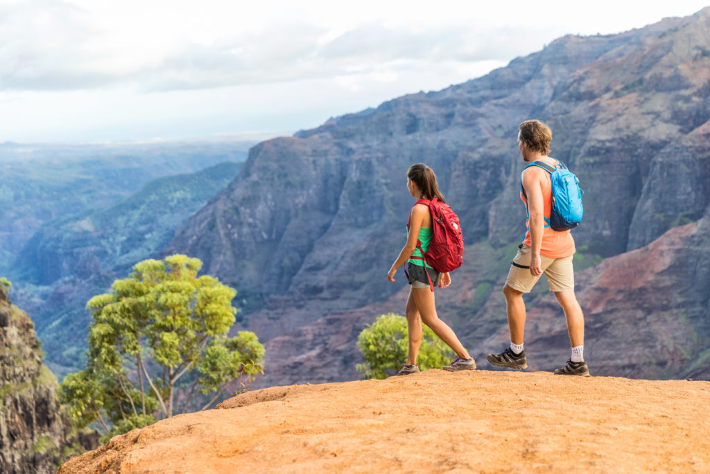 hikers enjoying the view on a trail in kauai