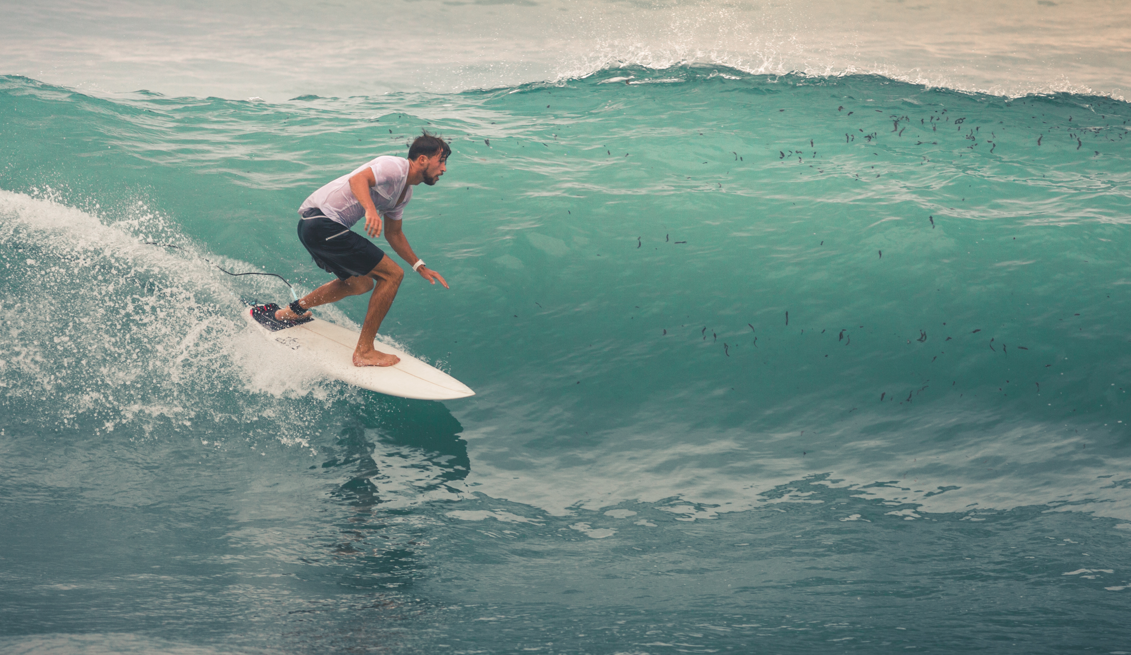 Surfing in Hawaii 