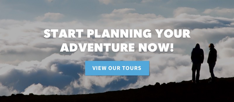 Start Planning Your Tour Today & Book A Tour Button