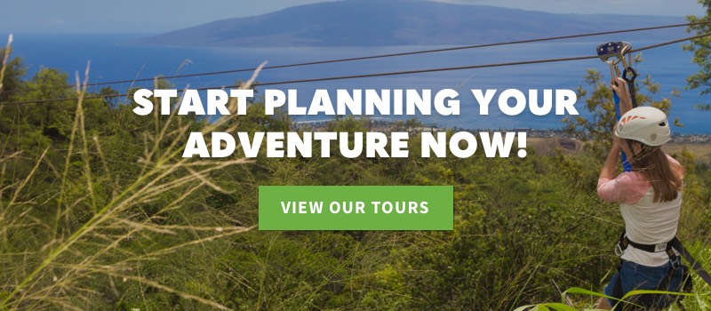 Start Planning Your Adventure Now