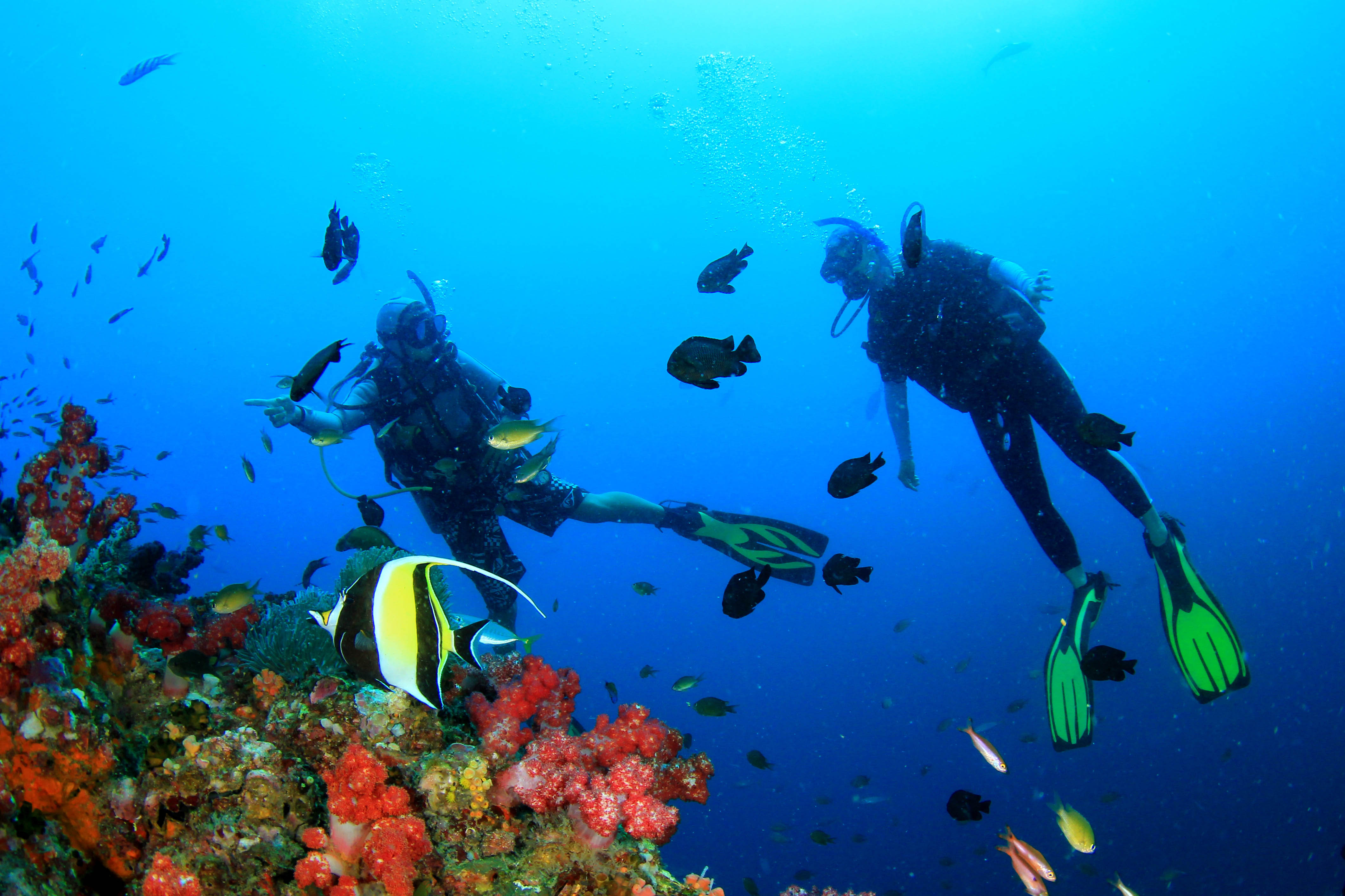 Scuba diving on coral reef underwater with fish in Hawaii
