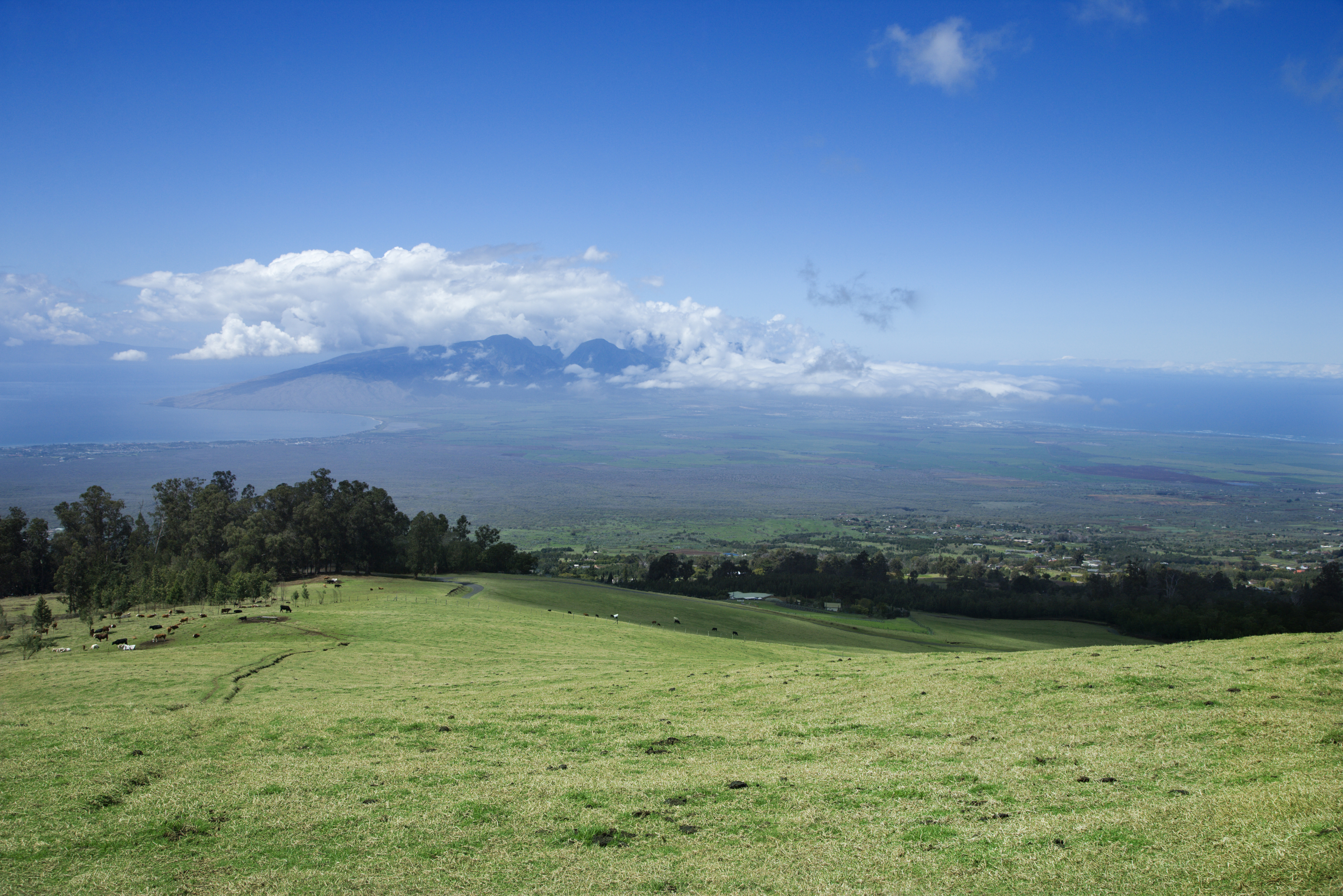 Skyline Zipline landscape of Upcountry Maui