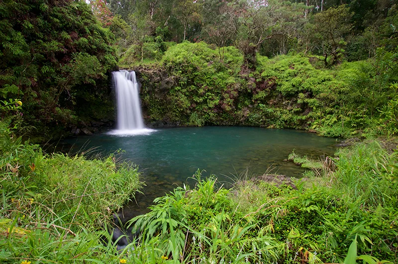 Puaa state park maui