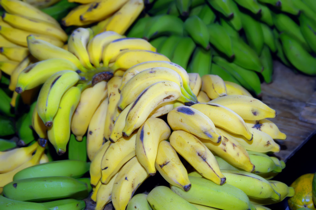 hilo famers market