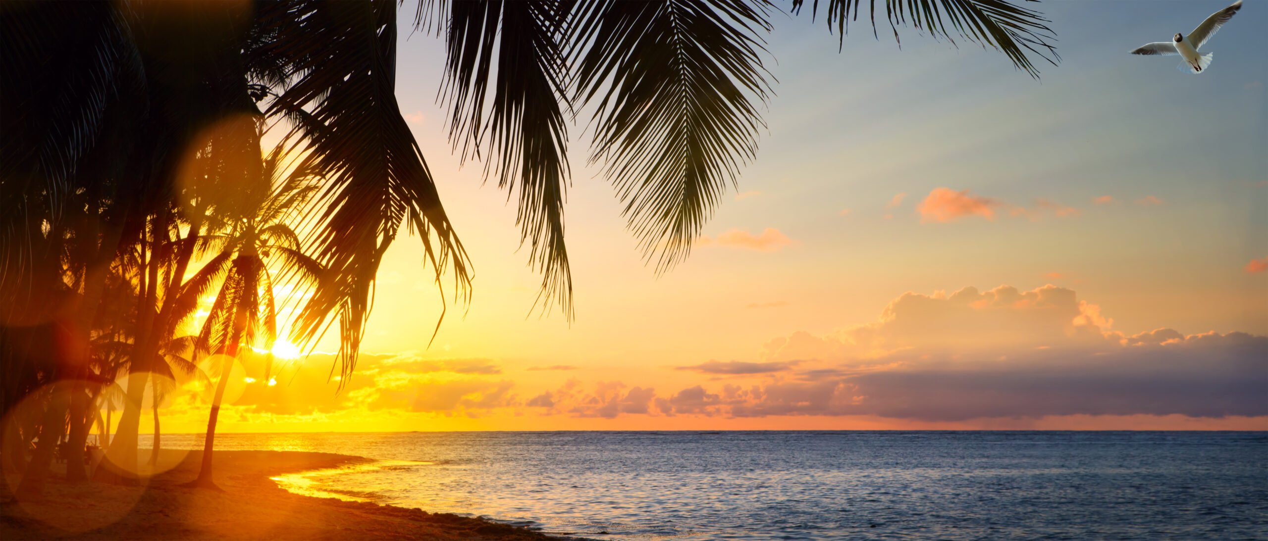 Daylight Savings in Hawaii | Skyline Hawaii