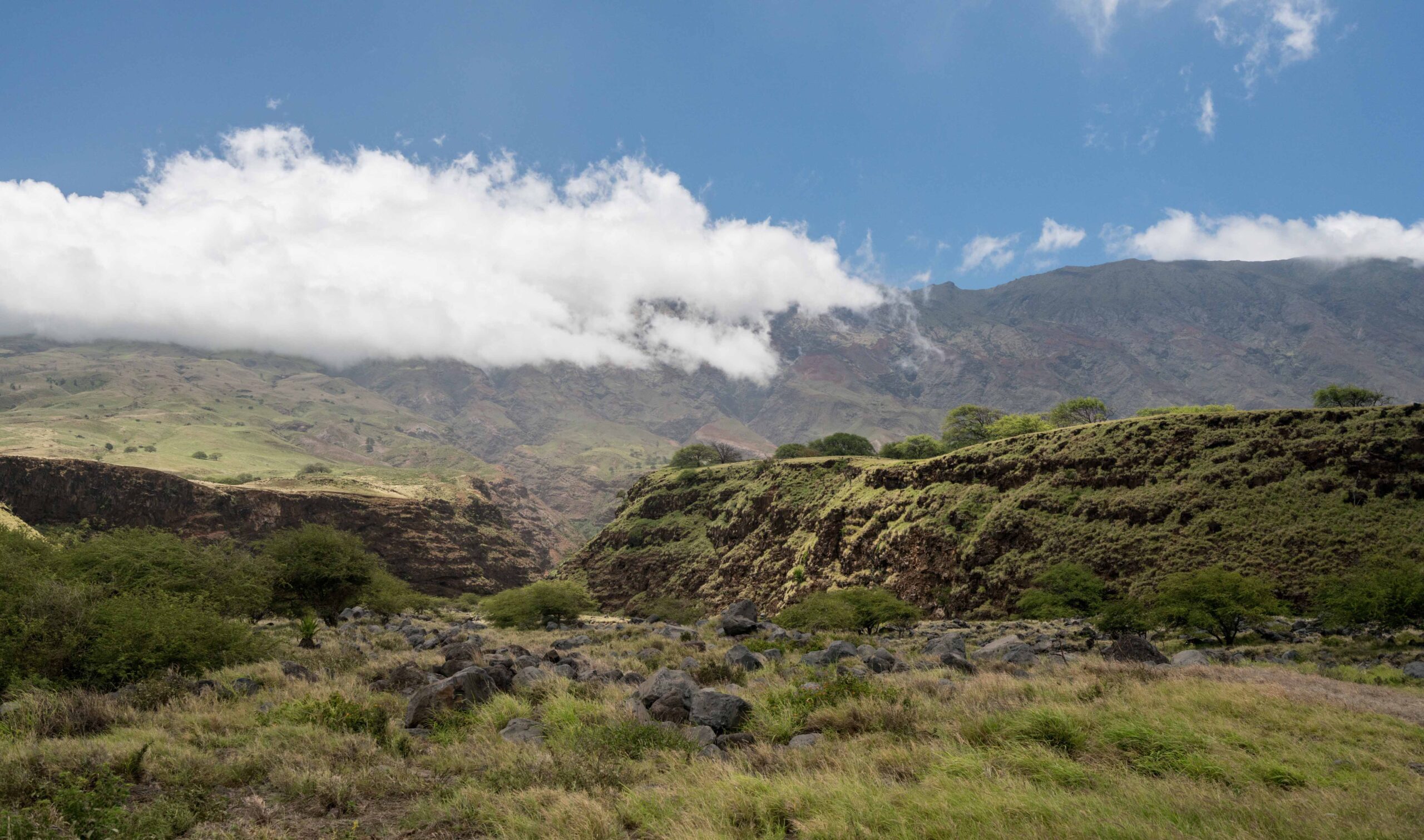 Haleakala National Park Views