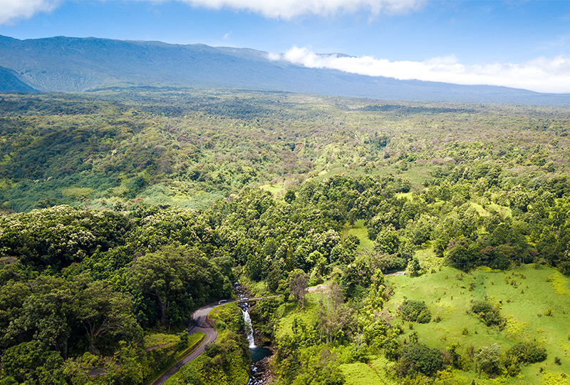 Tour Hana Highway with your family