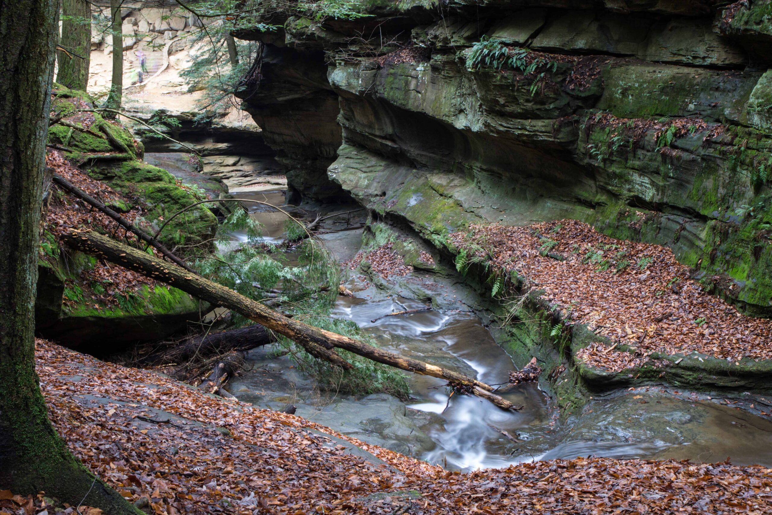 Hocking Hills River Canyon