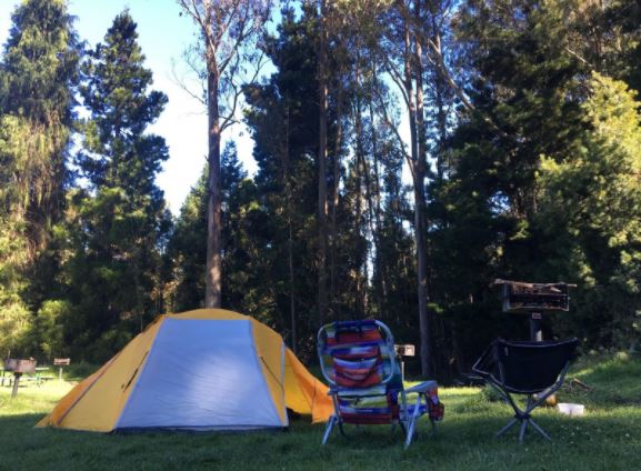 Camping in Hosmer's Grove