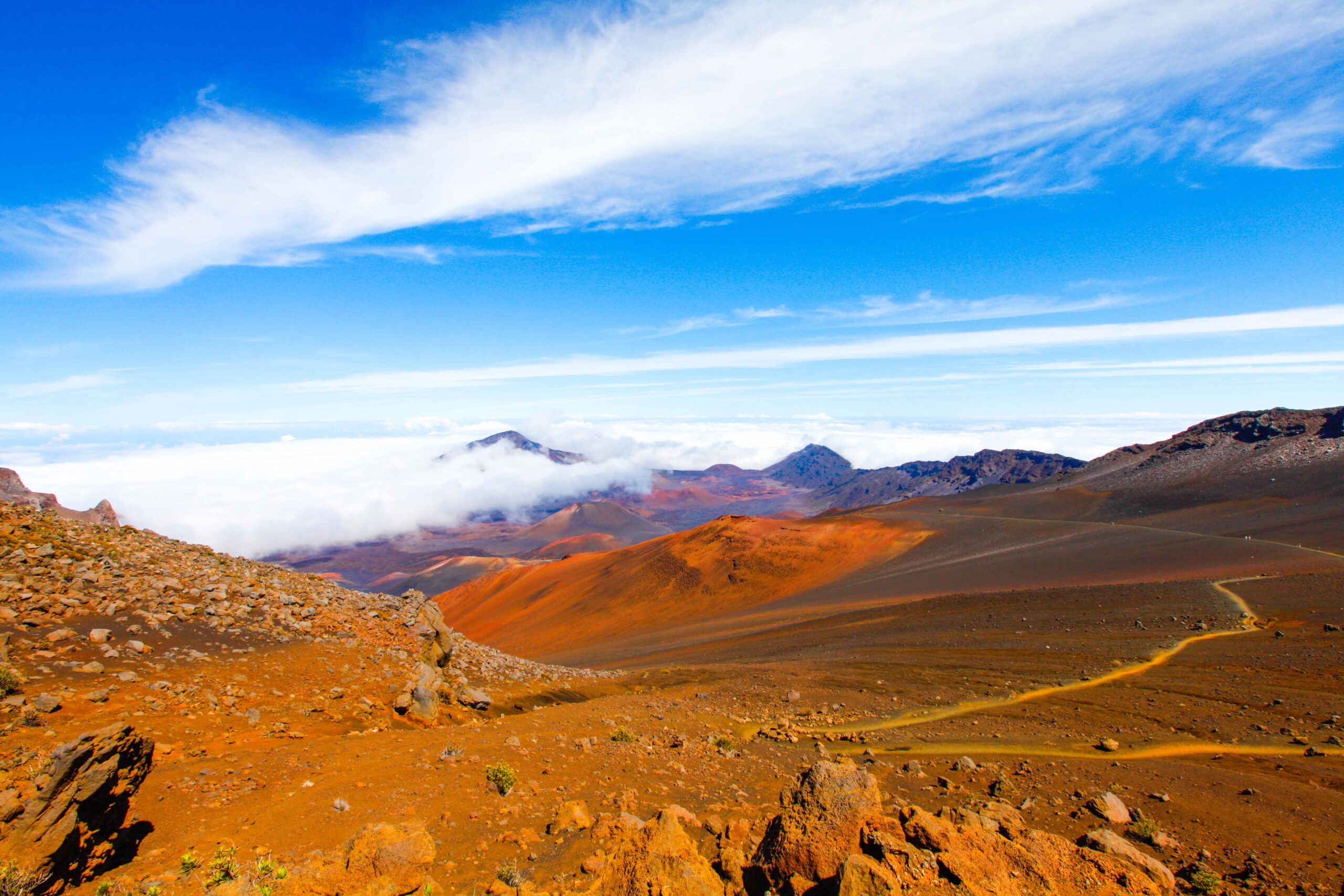 Maui, Hawaii trail