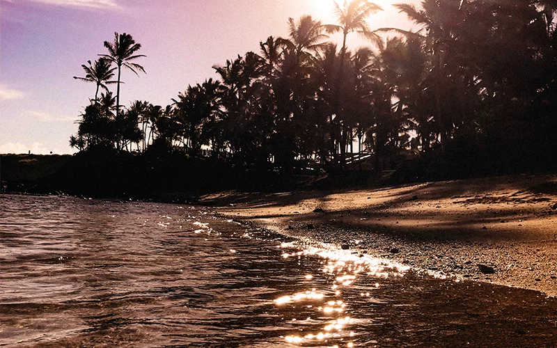 Maui North Shore Ocean View