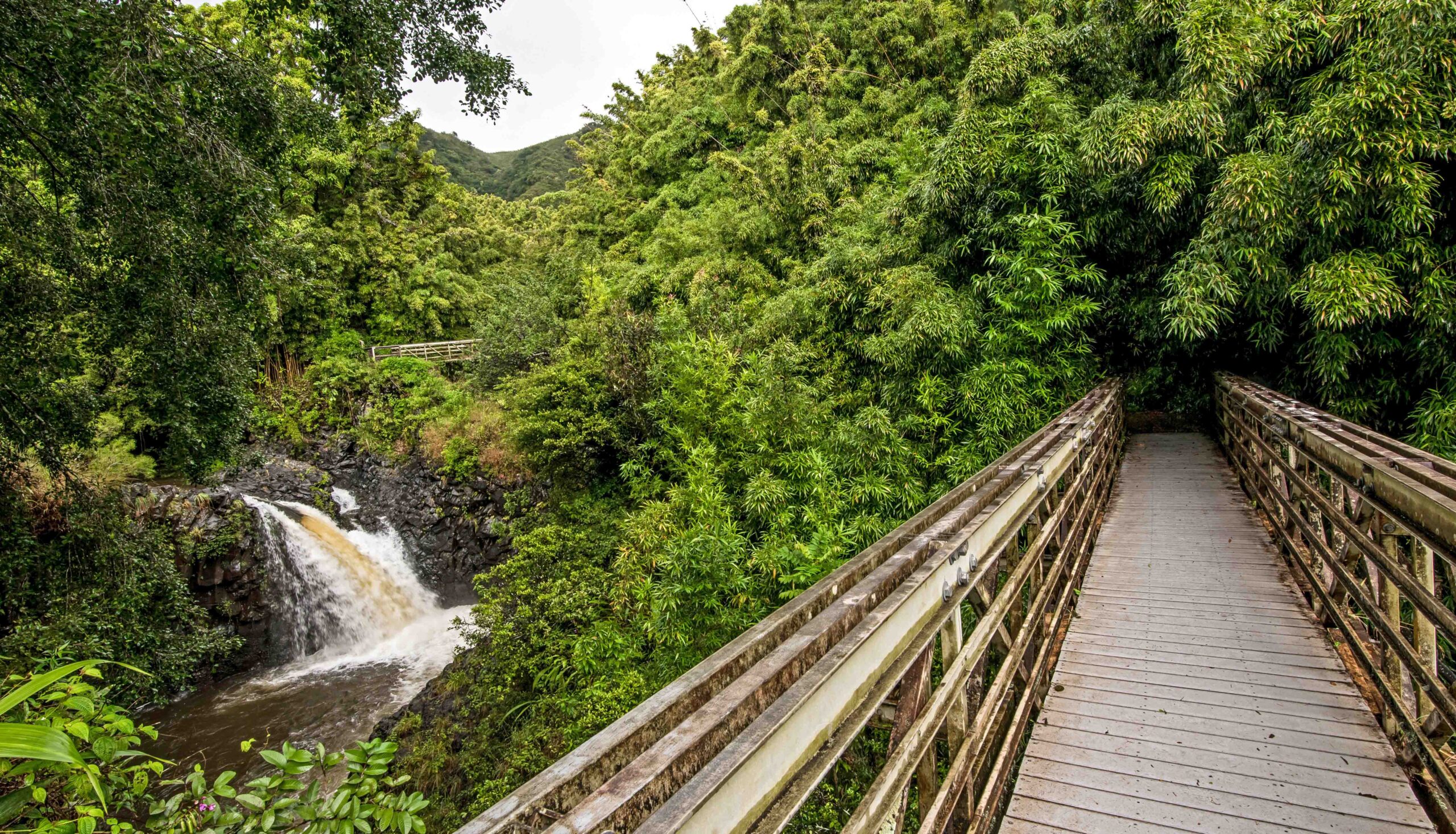 The Pipiwai Trail Bridge leads into the bamboo forest