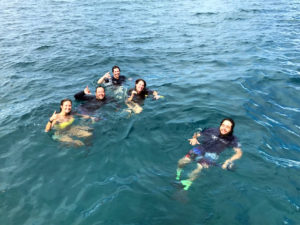 skyline eco-adventures