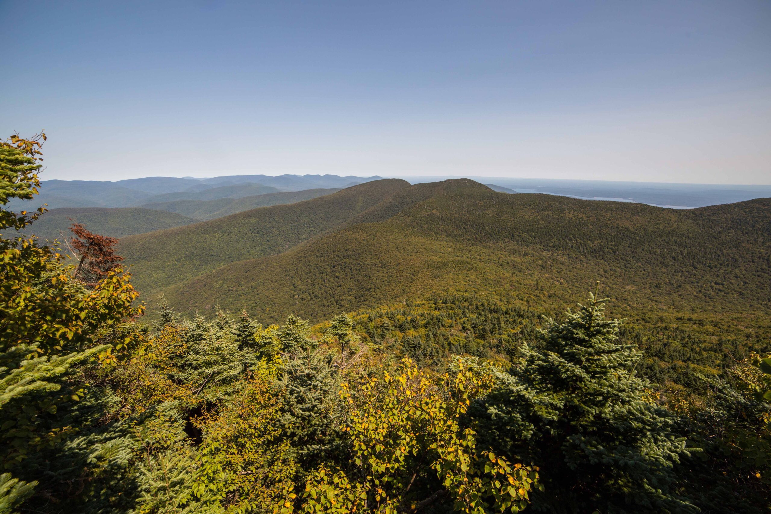 New York Zipline Canopy Tours